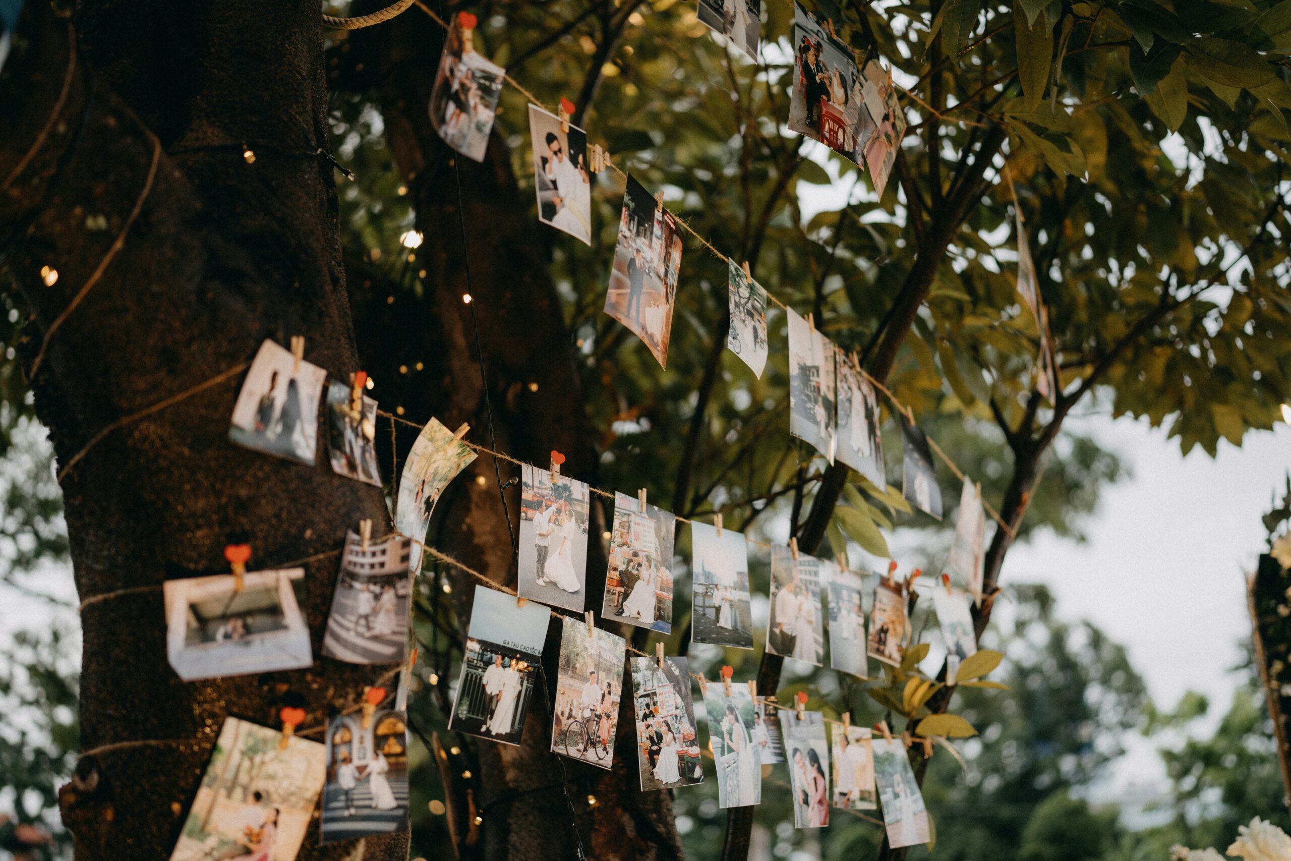Portfolio photos from past events hanging on a clothesline with clothespins between two trees — a creative, outdoor display of celebrations by MRS Party Planner.